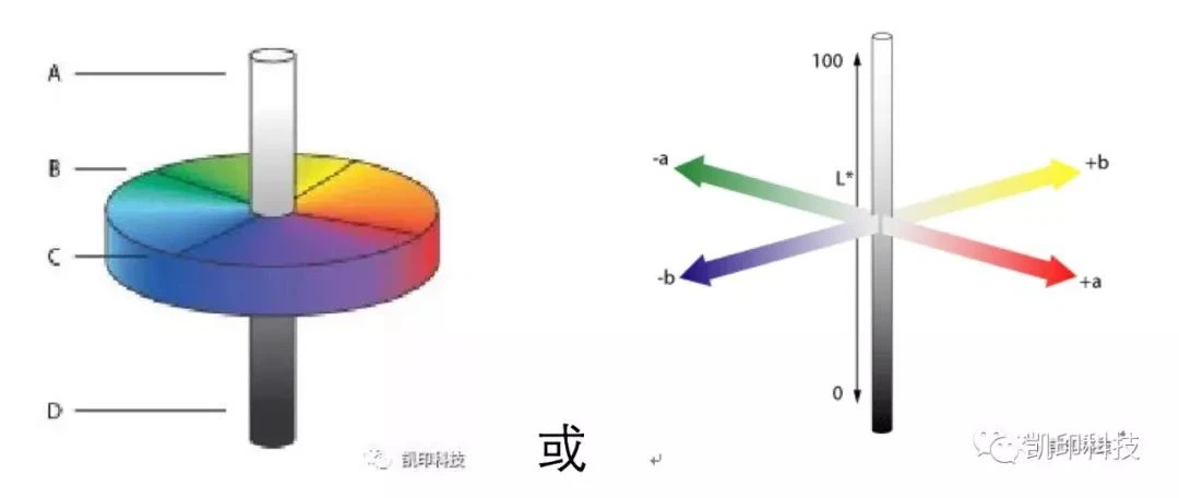 Lab model